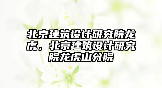 北京建筑設計研究院龍虎，北京建筑設計研究院龍虎山分院