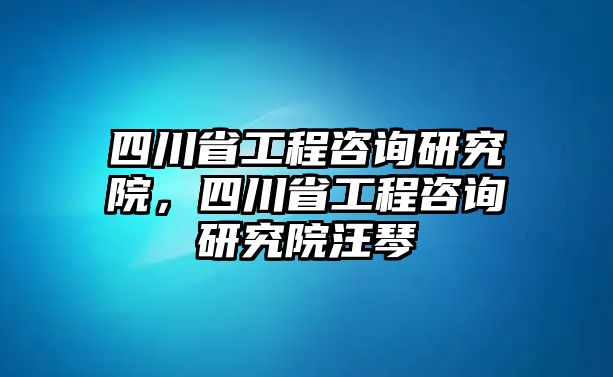 四川省工程咨詢研究院，四川省工程咨詢研究院汪琴