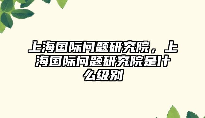 上海國際問題研究院，上海國際問題研究院是什么級別