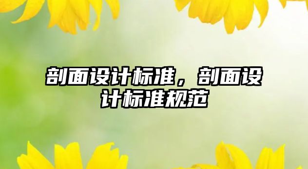 剖面設計標準，剖面設計標準規范