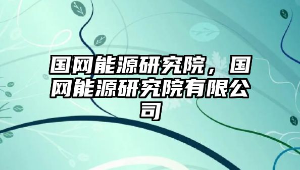 國網(wǎng)能源研究院，國網(wǎng)能源研究院有限公司