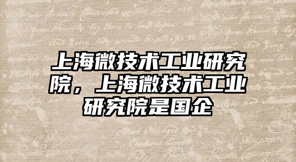 上海微技術工業研究院，上海微技術工業研究院是國企